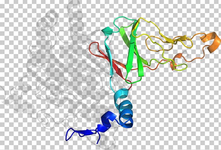 Product Design Line Organism PNG, Clipart, Graphic Design, Homogentisate 12dioxygenase, Line, Organism, Text Free PNG Download