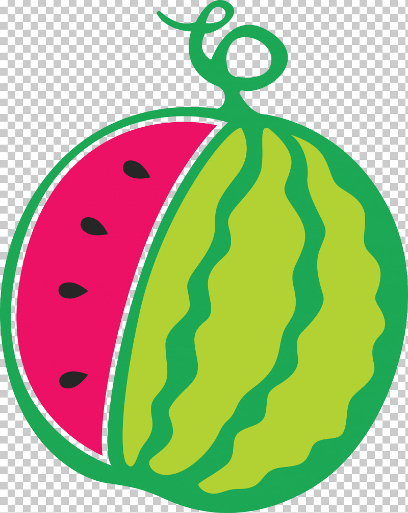 Watermelon Summer Fruit PNG, Clipart, Area, Biology, Fruit, Green, Leaf Free PNG Download