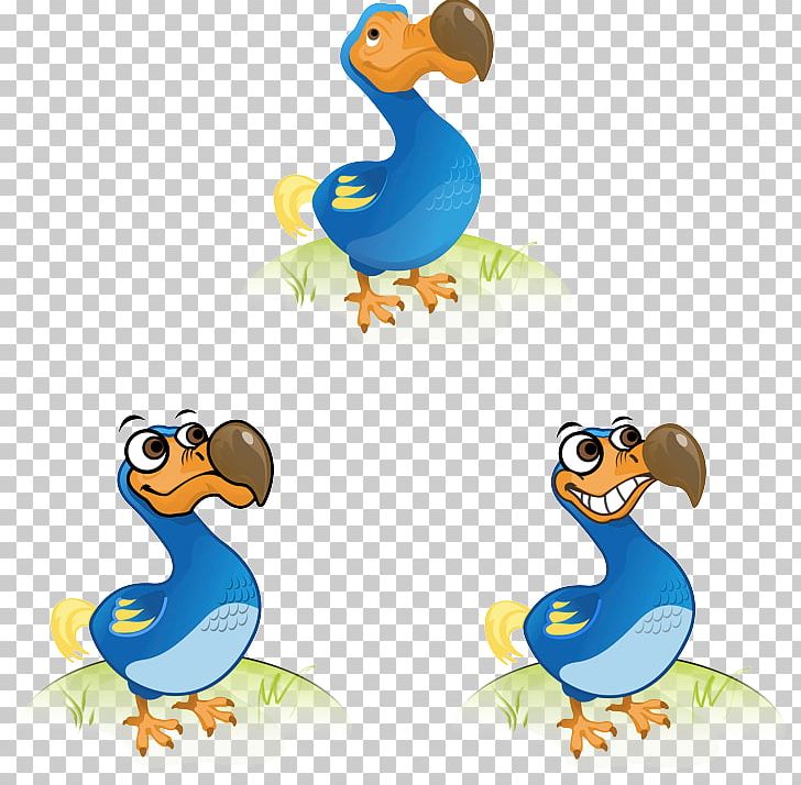 Duck Bird Dodo Cygnini Goose PNG, Clipart, Animal Figure, Animals, Beak, Bird, Cygnini Free PNG Download