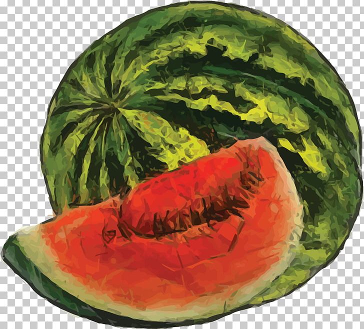 Fruit Watercolor Painting Watermelon PNG, Clipart, Cherry, Citrullus, Citrullus Lanatus, Color, Cucumber Gourd And Melon Family Free PNG Download