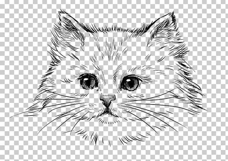 Persian Cat Kitten Drawing Cat Breed PNG, Clipart, Animals, Black, Carnivoran, Cartoon, Cat Ear Free PNG Download