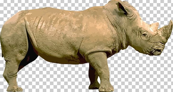 Rhinoceros Stock Illustration Illustration PNG, Clipart, Animal, Animals, Cartoon Rhino, Commercial Use Rhino, Drawing Free PNG Download