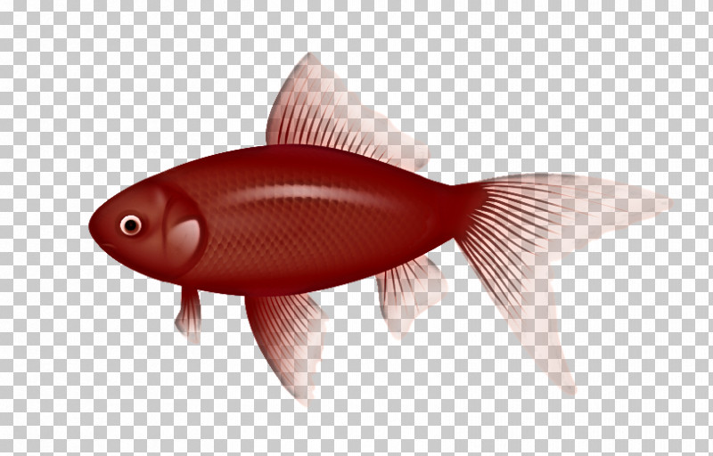 Fish Fish Goldfish Fin Feeder Fish PNG, Clipart, Bonyfish, Feeder Fish, Fin, Fish, Fish Products Free PNG Download
