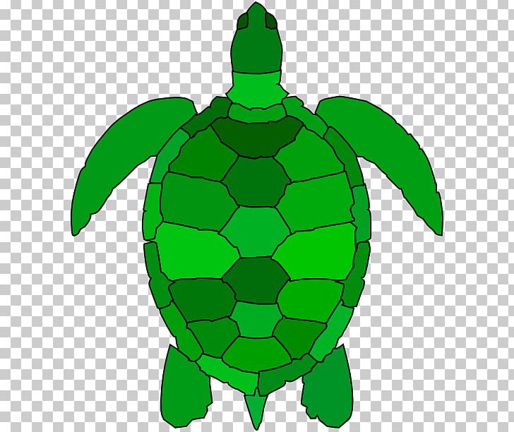 Green Sea Turtle PNG, Clipart, Animal, Animals, Artwork, Computer Icons, Download Free PNG Download