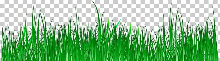 Wheatgrass Green Commodity Computer PNG, Clipart, Background Green, Commodity, Computer, Creative Graphics, Decorative Patterns Free PNG Download