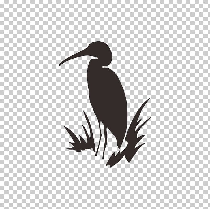 Great Blue Heron Green Heron PNG, Clipart, Animal, Beak, Bird, Birds, Black And White Free PNG Download