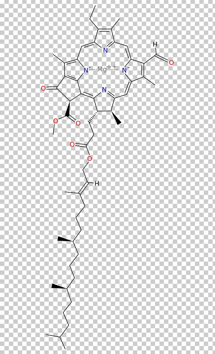 Chlorophyll A Chlorophyll B Chlorophyll C2 Chlorophyll C1 PNG, Clipart, Acetone, Angle, Area, Carotene, Chlorophyll Free PNG Download