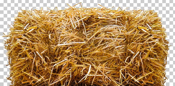 Straw-bale Construction Harvest Hay PNG, Clipart, Agriculture, Alfalfa, Avena, Baler, Cereal Free PNG Download