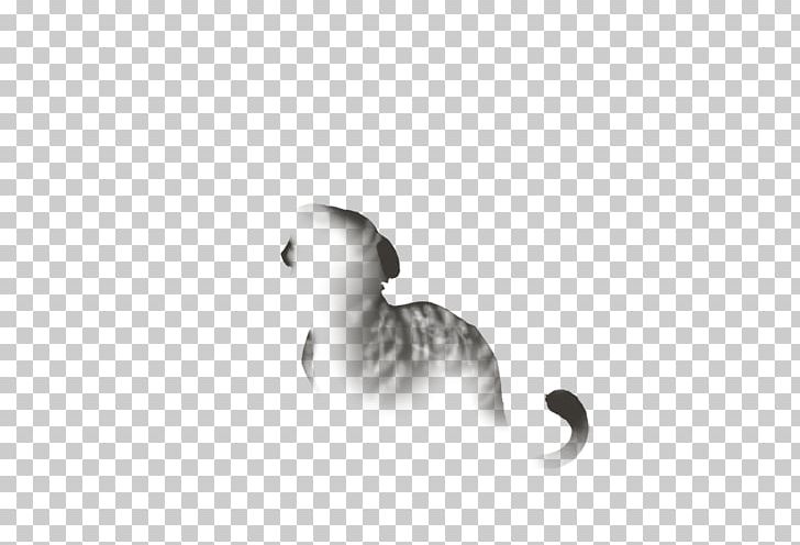 Cat Tail White Black M Font PNG, Clipart, Animals, Black, Black And White, Black M, Carnivoran Free PNG Download