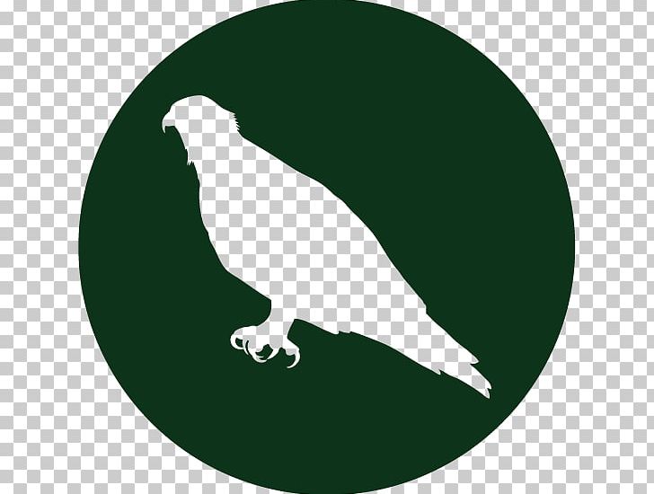 Bayou Adventure Cane Bayou Lane Cane Bayou Launch Beak PNG, Clipart, Bayou, Beak, Bird, Bird Of Prey, Ecosystem Free PNG Download
