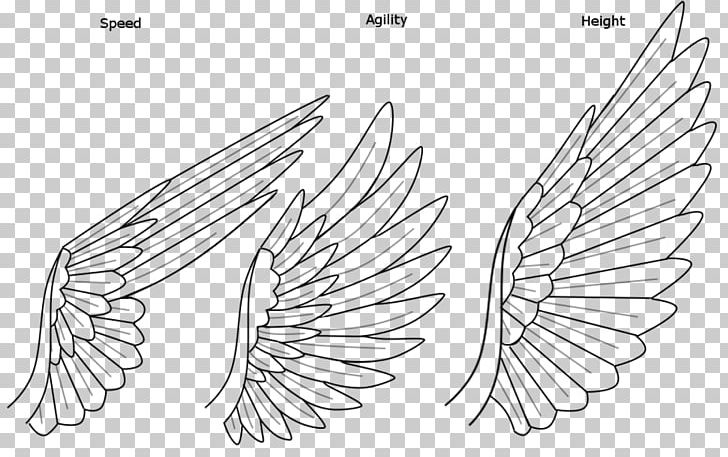 Drawing Rainbow Dash Line Art PNG, Clipart, Angle, Area, Art, Artwork, Beak Free PNG Download