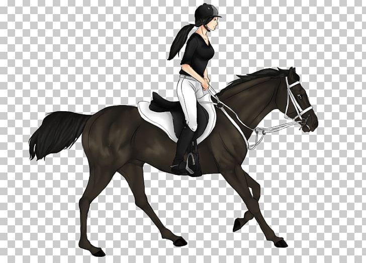 Dressage Stallion Mustang Hunt Seat Rein PNG, Clipart, Animal Sports, Animal Training, Bridle, Dressage, English Riding Free PNG Download