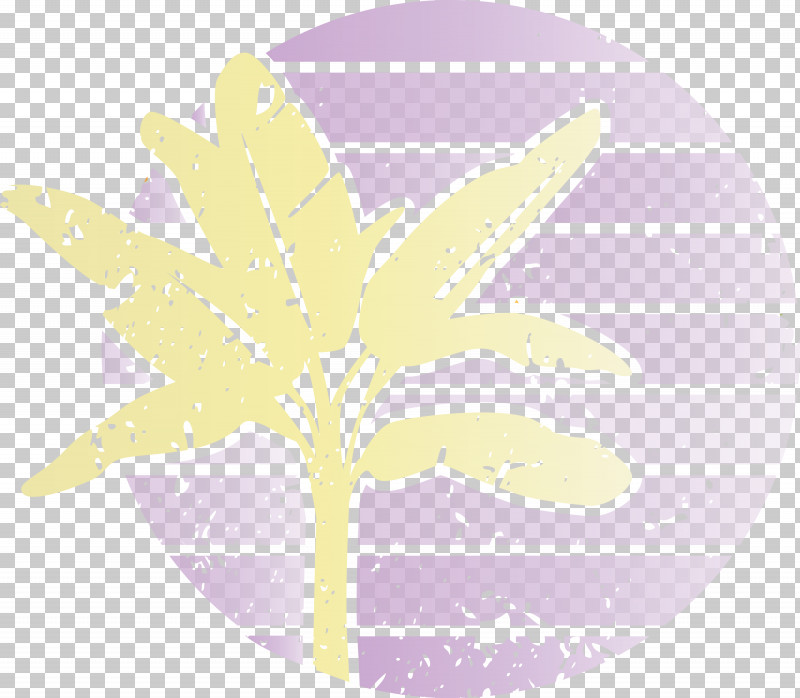 Summer Palm PNG, Clipart, Biology, Leaf, Meter, Plants, Plant Structure Free PNG Download