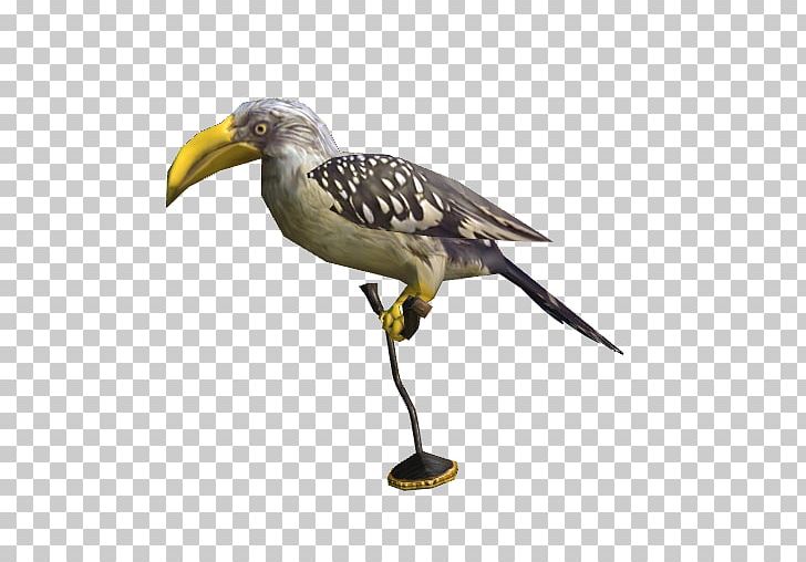 Hornbill Bird Crane Beak Ibis PNG, Clipart, 3 D, Animals, Aviary, Beak, Bird Free PNG Download
