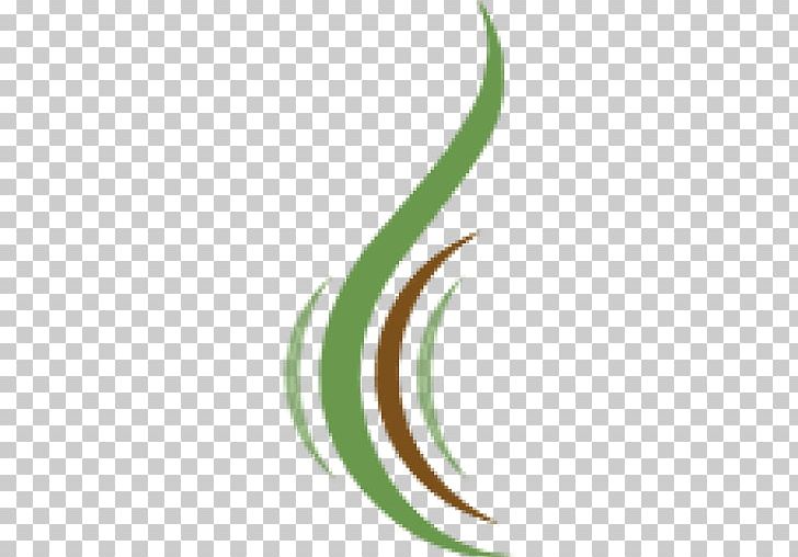 Leaf Crescent Logo Plant Stem Line PNG, Clipart, Crescent, Grass, Leaf, Line, Logo Free PNG Download