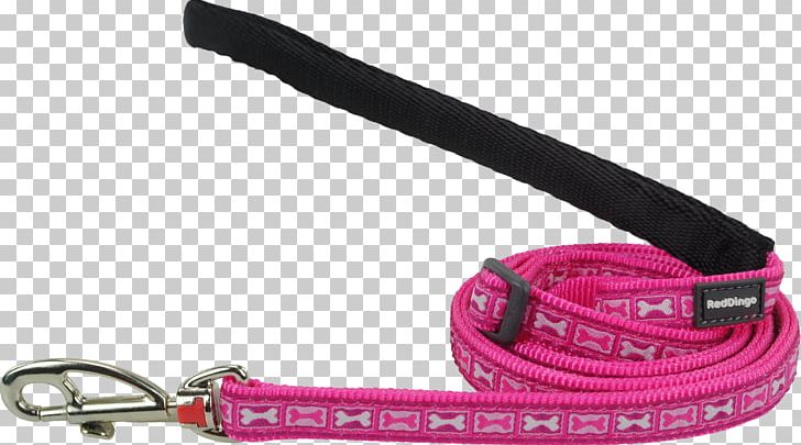 Leash Dog Collar Strap PNG, Clipart, Animals, Collar, Dog, Dog Collar, Fashion Accessory Free PNG Download