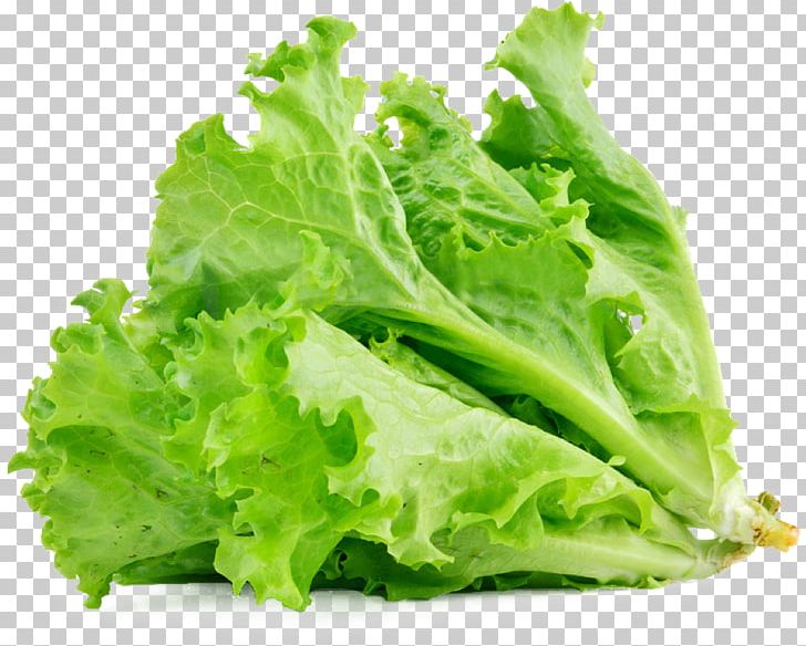 Lettuce Sandwich Butterhead Lettuce Vegetable Salad Food PNG, Clipart, Butterhead Lettuce, Caesar Salad, Calorie, Collard Greens, Cruciferous Vegetables Free PNG Download