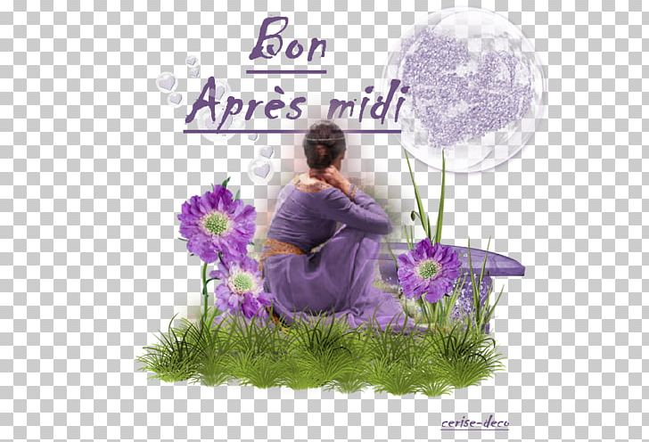 Love Emotion Afternoon Experience PNG, Clipart, Afternoon, Amor Prohibido, Emotion, Experience, Floral Design Free PNG Download