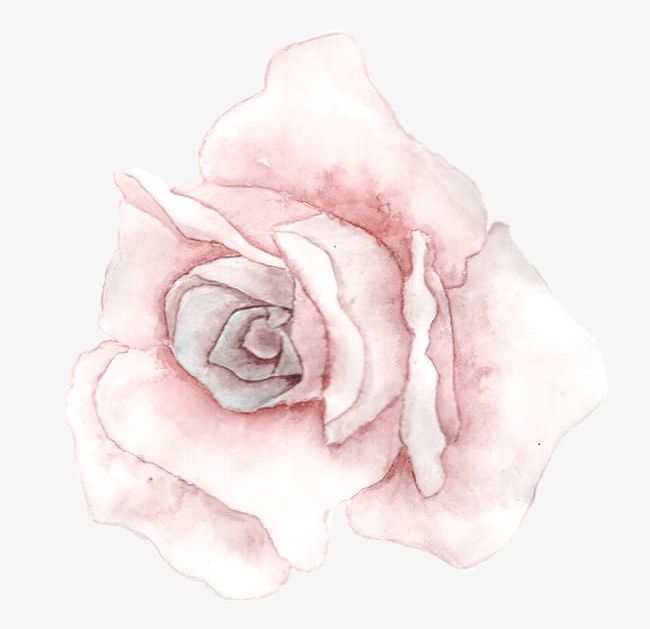Pink Watercolor Flowers PNG, Clipart, Flowers, Flowers Clipart, Hand Painted, Hand Painted Flowers, Pink Clipart Free PNG Download