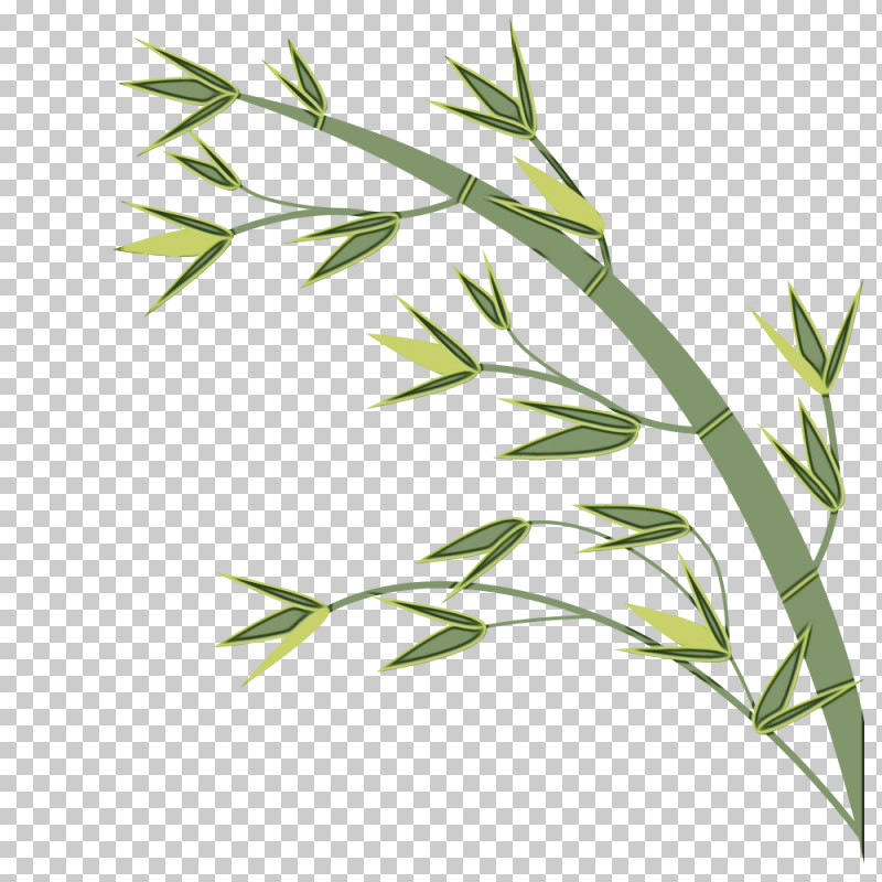 Banana Leaf PNG, Clipart, Banana Leaf, Conifers, Grasses, Leaf, Paint Free PNG Download