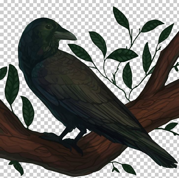 American Crow New Caledonian Crow Common Raven Bird PNG, Clipart, Animals, Beak, Birds, Branch, Cartoon Free PNG Download