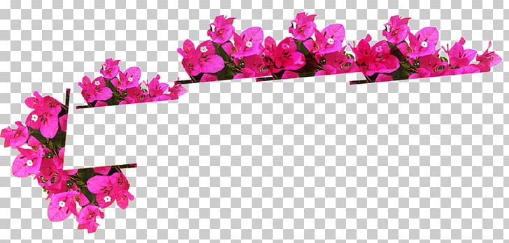 Floral Design Cut Flowers Petal PNG, Clipart, Blossom, Cut Flowers, Floral Design, Floriculture, Flower Free PNG Download
