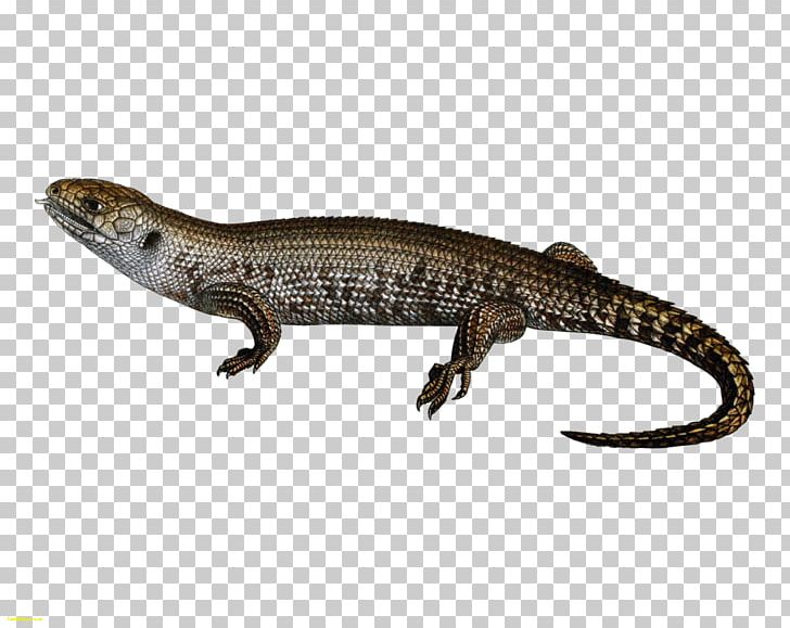 Lizard Common Iguanas Computer Icons PNG, Clipart, Agama, Agamidae, Alligator Lizard, Amphibian, Animals Free PNG Download