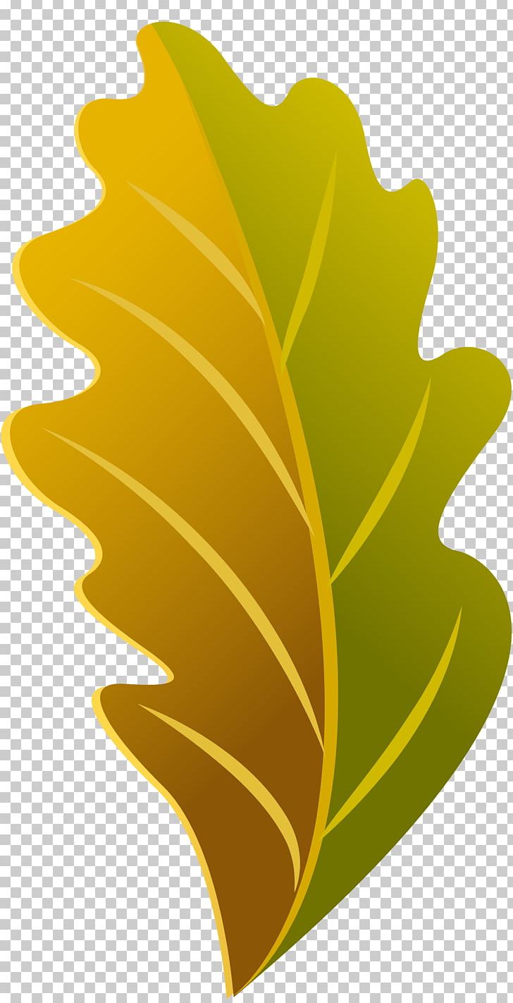 Plant Leaf Flower Font PNG, Clipart, Banana Leaf, Flower, Food Drinks, Leaf, Plant Free PNG Download