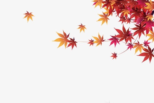Autumn Maple Leaf PNG, Clipart, Autumn, Autumn Clipart, Autumn Clipart, Leaf, Leaf Clipart Free PNG Download