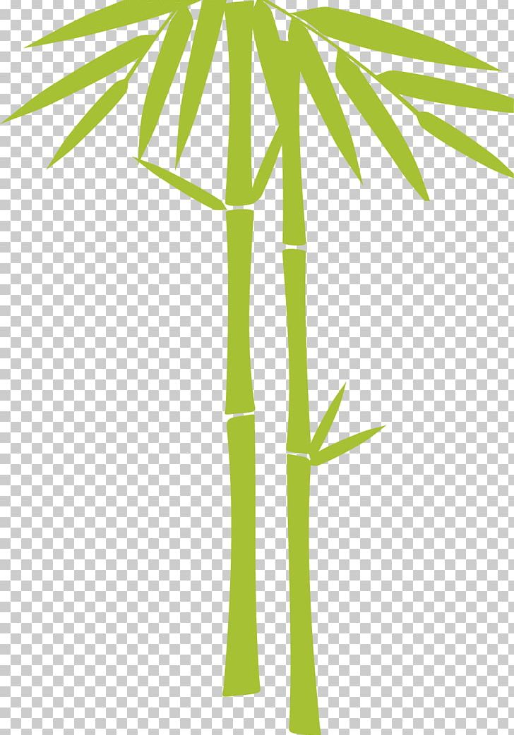 Bamboe Illustration PNG, Clipart, Angle, Area, Bamboe, Bamboo, Bamboo Border Free PNG Download