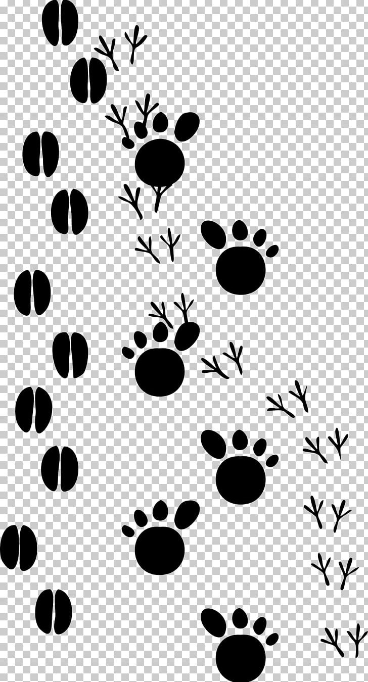 Dog Cat Footprint Paw PNG, Clipart, Animal, Animals, Animal Track, Black, Black And White Free PNG Download