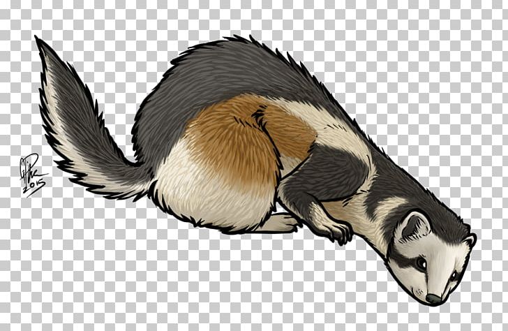 Ferret Fur Snout Wildlife PNG, Clipart, Animals, Carnivoran, Fauna, Ferret, Fur Free PNG Download