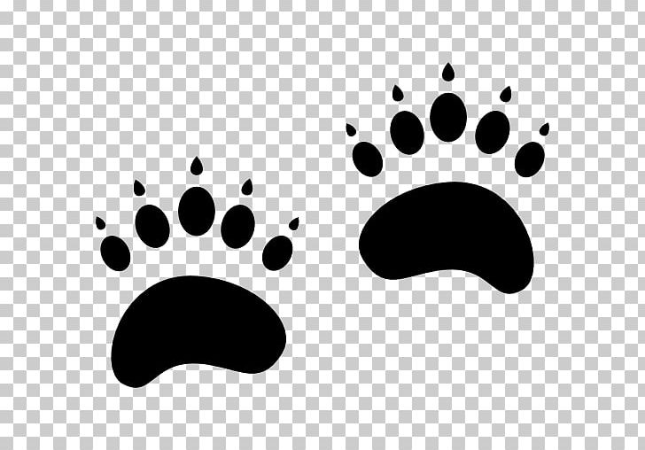 Grizzly Bear Animal Track Polar Bear PNG, Clipart, Animal, Animals, Animal Track, Bear, Black Free PNG Download