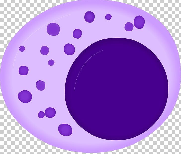 Lymphocyte Natural Killer Cell B Cell Linfocito Grande Granular PNG, Clipart, Antigen, B Cell, Bcell Receptor, Blood, Cell Free PNG Download