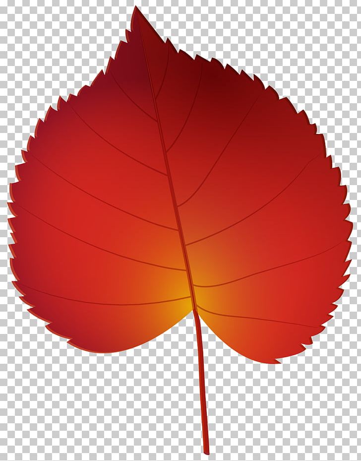 Autumn Leaf Color Autumn Leaf Color PNG, Clipart, Autumn, Autumn Leaf Color, Encapsulated Postscript, Leaf, Maple Leaf Free PNG Download