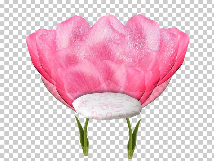 Cabbage Rose Garden Roses Easter Tulip World PNG, Clipart, Art, Birthday, Christmas Day, Cut Flowers, Easter Free PNG Download