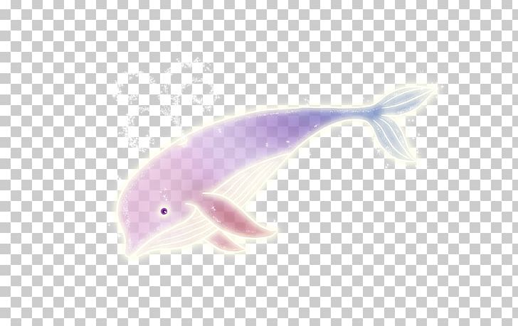 Dolphin PNG, Clipart, Animals, Aquatic, Aquatic Creatures, Blue Whale, Cartoon Whale Free PNG Download