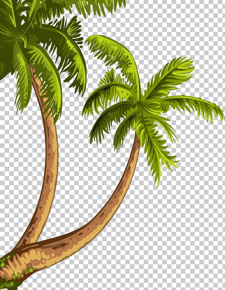 Drawing Beach Theatrical Scenery PNG, Clipart, Art, Background Green, Ballo, Botany, Branch Free PNG Download