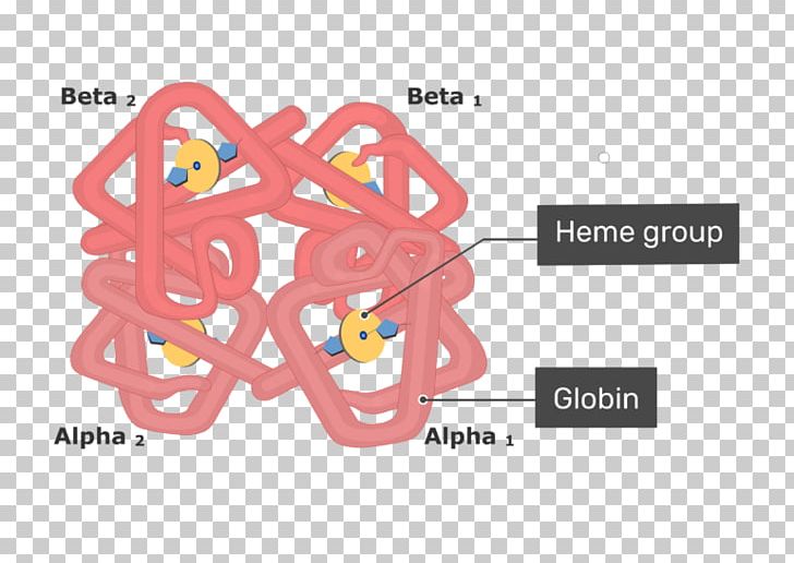 Glycated Hemoglobin Myoglobin Red Blood Cell Heme PNG, Clipart, Area, Blood, Blood Cell, Brand, Chemical Structure Free PNG Download