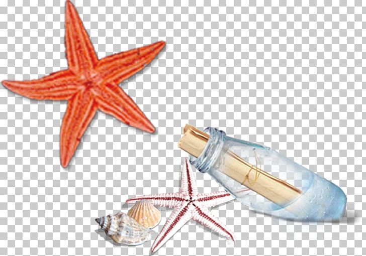 Computer File PNG, Clipart, Alcohol Bottle, Animals, Beach, Bottle, Bottles Free PNG Download