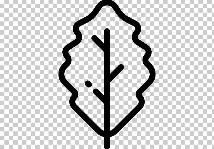 Tree Oak Computer Icons PNG, Clipart, Acorn, Area, Black And White, Botany, Clip Art Free PNG Download