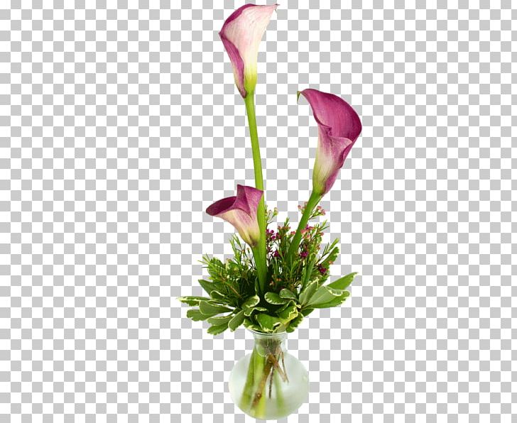 Arum-lily Floral Design Cut Flowers Lilium PNG, Clipart, Artificial Flower, Arumlily, Bog Arum, Bud, Calla Lily Free PNG Download