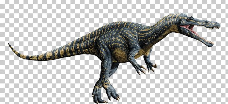 Baryonyx Spinosaurus Suchomimus Tyrannosaurus Microceratus PNG, Clipart, Animal Figure, Baryonyx, Ceratosaurus, Crocodile, Dinosaur Free PNG Download