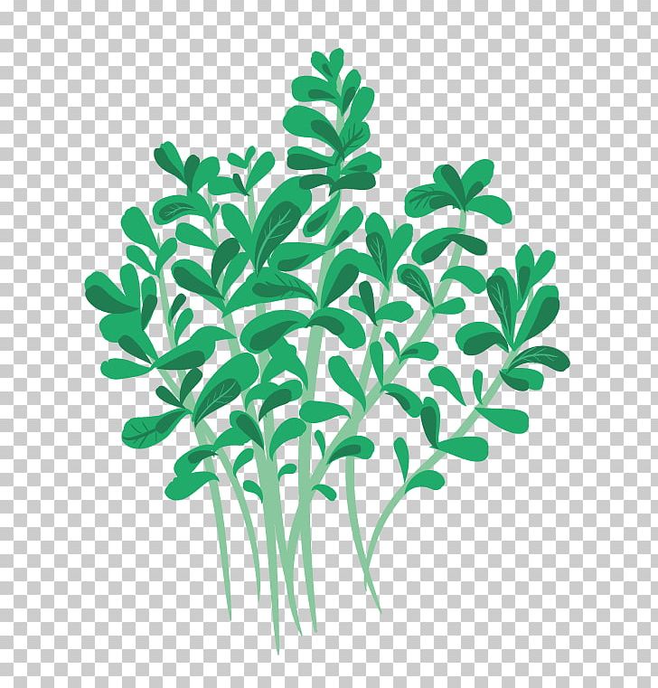 Greenify Oregano Stuffing Herb Leaf Vegetable PNG, Clipart, Branch, Centimeter, Copenhagen, Grass, Green Free PNG Download