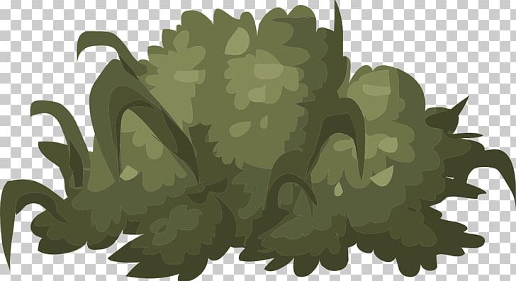 Shrub PNG, Clipart, Bushes, Camouflage, Drawing, Grass, Hedge Free PNG Download