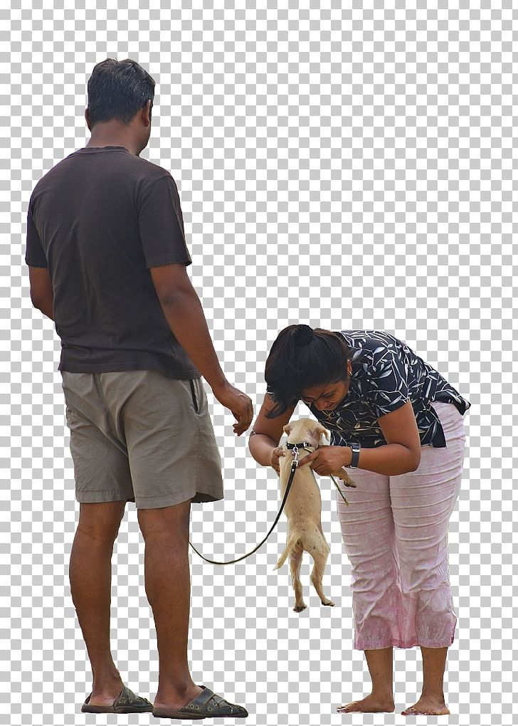 Walking Photography PNG, Clipart, Arm, Child, Desktop Wallpaper, Dog, Dog Like Mammal Free PNG Download