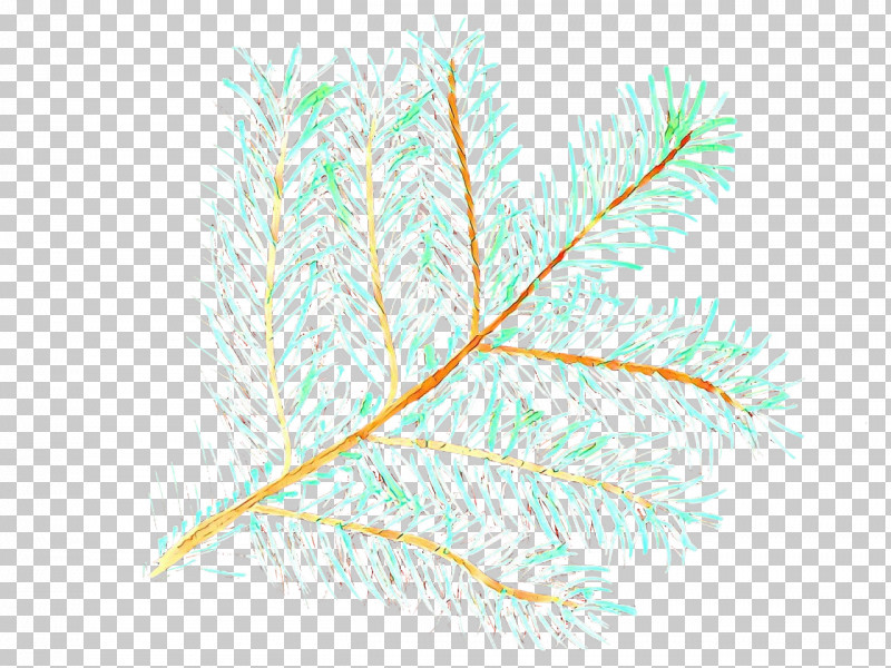 Feather PNG, Clipart, Feather, Grass, Grass Family, Leaf, Plant Free PNG Download