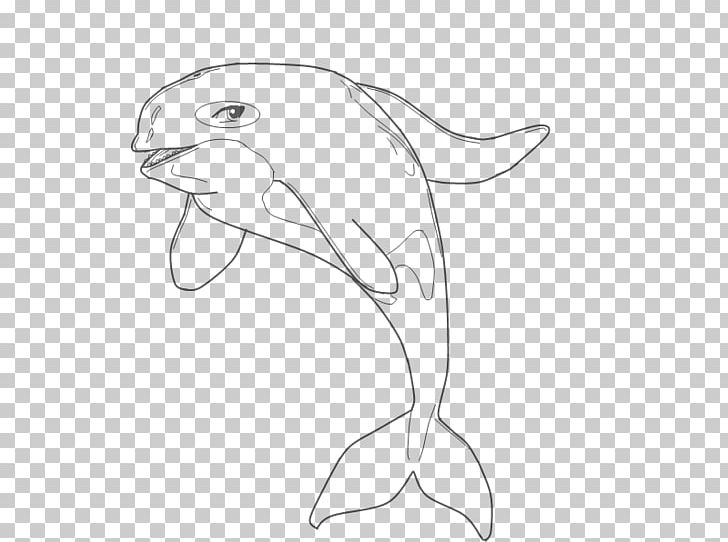 Dolphin White Line Art Sketch PNG, Clipart, Area, Art, Artwork, Beak, Black And White Free PNG Download