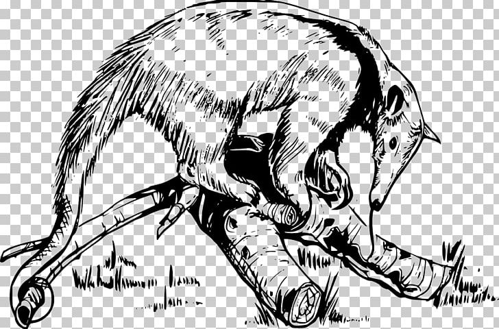 Giant Anteater Aardvark Drawing PNG, Clipart, Aardvark, Animal, Ant, Anteater, Big Cats Free PNG Download