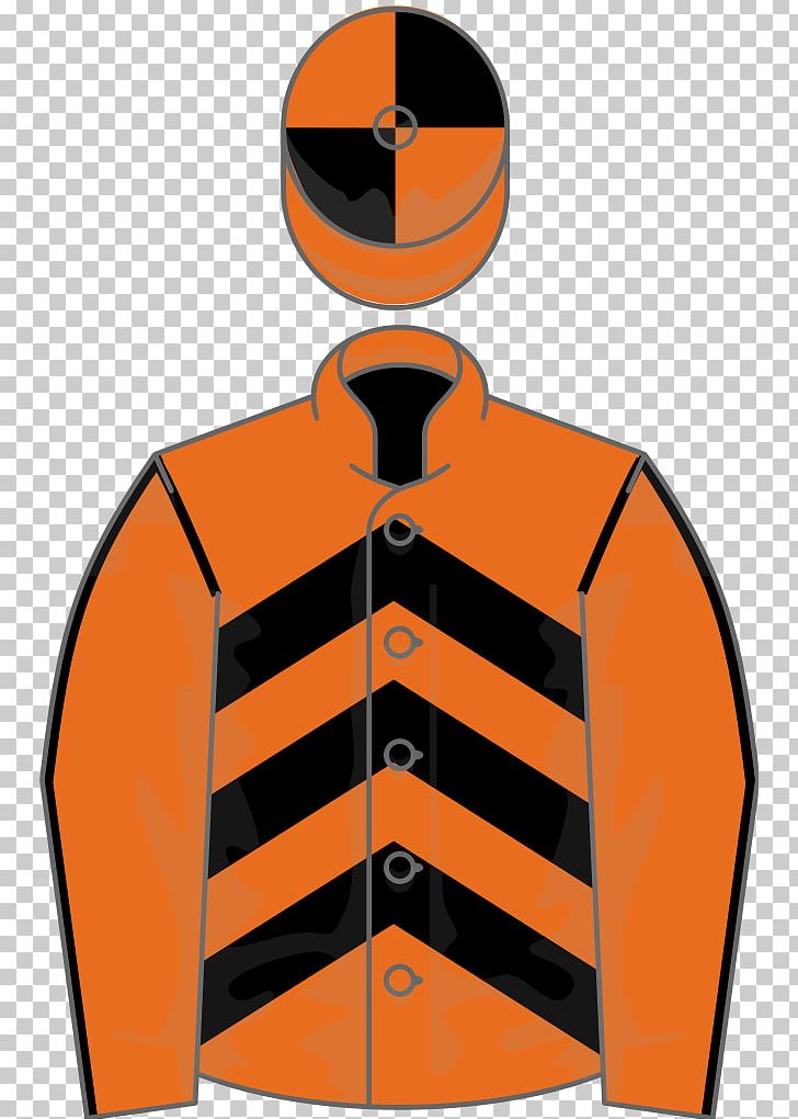 Thoroughbred Foal Horse Racing Thistlecrack Epsom Oaks PNG, Clipart, Casual Look, Colin Tizzard, Epsom Oaks, Foal, Gamble Free PNG Download